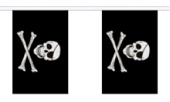 Pirate/Skull Buntings